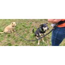 Sport Vibrations® Daily Bag – Hüfttasche mit Trinkflaschenhalterung und Leckerlibeutel für Hundespaziergänge und Hundezubehör