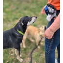 Sport Vibrations® Daily Bag – Hüfttasche mit Trinkflaschenhalterung und Leckerlibeutel für Hundespaziergänge und Hundezubehör