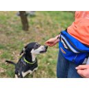 Sport Vibrations® Daily Bag – Hüfttasche mit Trinkflaschenhalterung und Leckerlibeutel für Hundespaziergänge und Hundezubehör