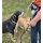 Sport Vibrations® Daily Bag – Hüfttasche mit Trinkflaschenhalterung und Leckerlibeutel für Hundespaziergänge und Hundezubehör