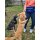 Sport Vibrations® Daily Bag – Hüfttasche mit Trinkflaschenhalterung und Leckerlibeutel für Hundespaziergänge und Hundezubehör